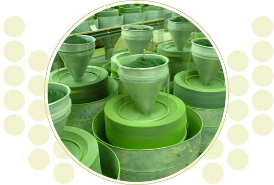 Shade Covered Cultivation Right